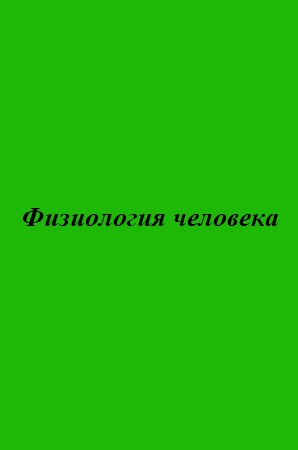 Физиология человека